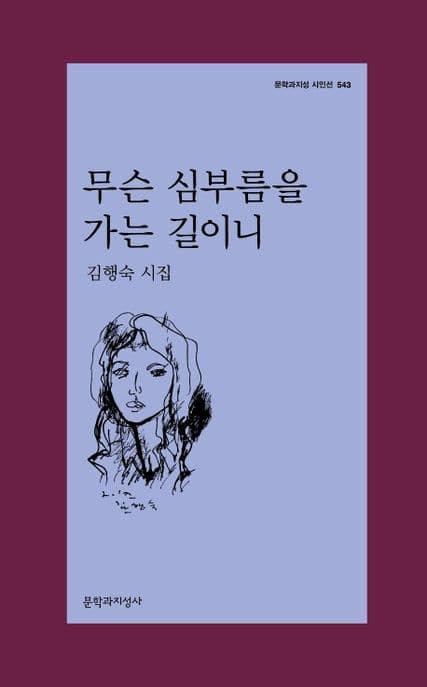 무슨 심부름을 가는 길이니 (김행숙 시집)