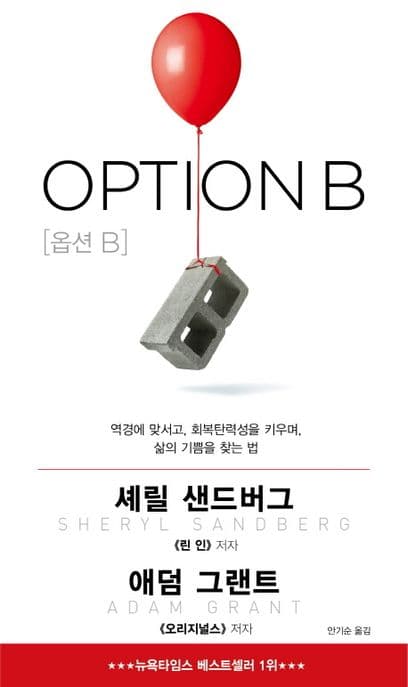 옵션 B (역경에 맞서고, 회복탄력성을 키우며, 삶의 기쁨을 찾는 법)