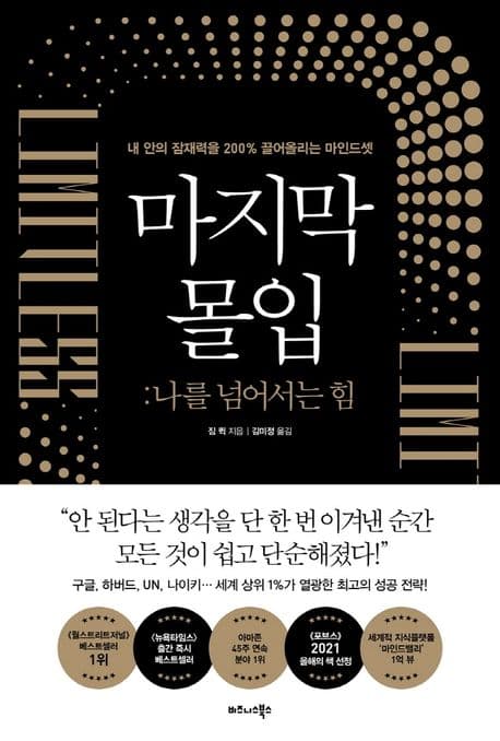 마지막 몰입: 나를 넘어서는 힘 (내 안의 잠재력을 200% 끌어올리는 마인드셋)