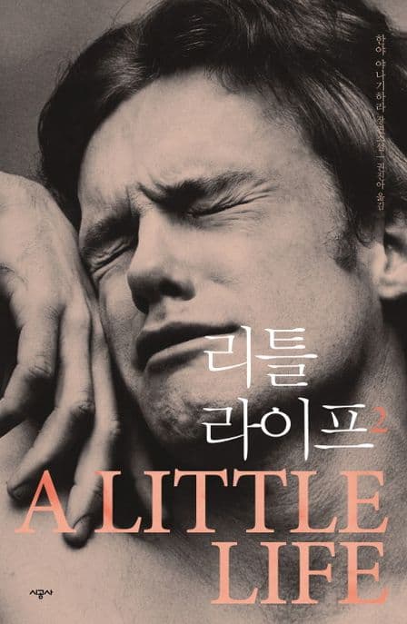 리틀 라이프 2 (한야 야나기하라 장편소설)