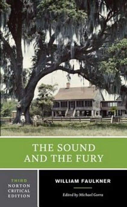 The Sound and the Fury Paperback