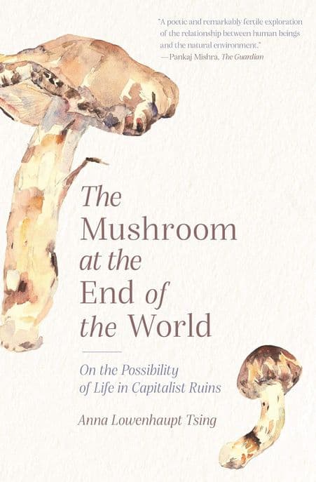 The Mushroom at the End of the World (On the Possibility of Life in Capitalist Ruins)