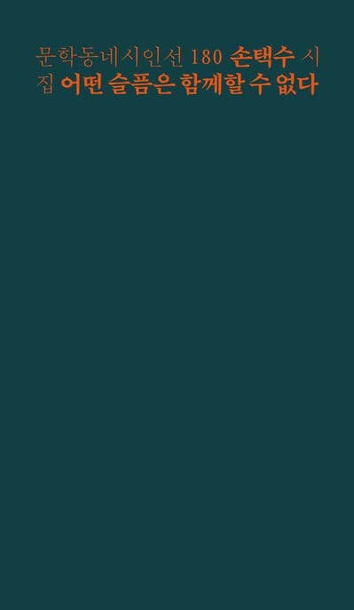 어떤 슬픔은 함께할 수 없다 (손택수 시집)