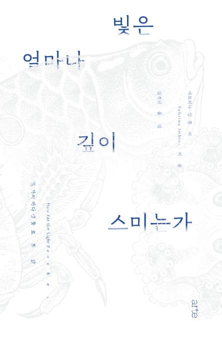빛은 얼마나 깊이 스미는가 (열 가지 바다 생물로 본 삶)
