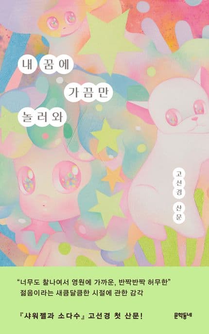 내 꿈에 가끔만 놀러와 (고선경 산문)