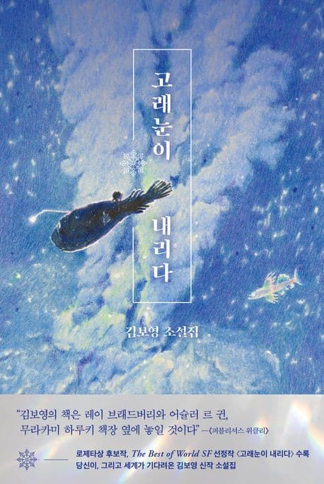 고래눈이 내리다 (김보영 소설집)