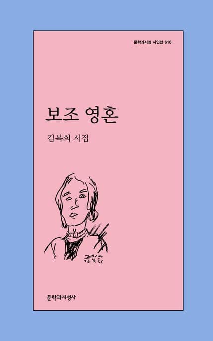 보조 영혼 (김복희 시집)