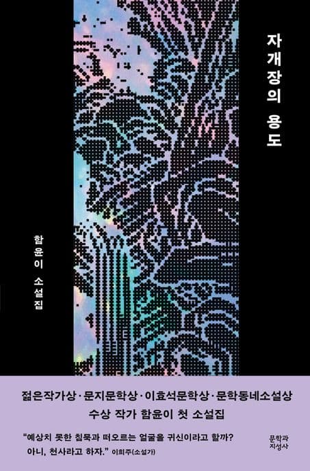 자개장의 용도 (함윤이 소설집)