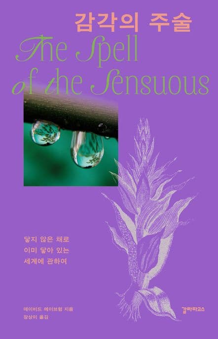 감각의 주술 (닿지 않은 채로 이미 닿아 있는 세계에 관하여)